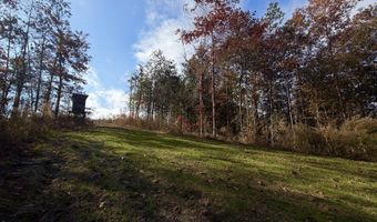 0 Progress Road Rd, Beaumont, MS 39423