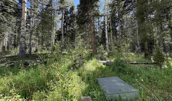 Lot 23 Elk Ridge Road, Angel Fire, NM 97710