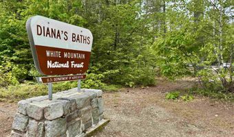 24 W Side Woods Rd, Bartlett, NH 03812