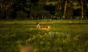ROCK CREEK RANCH, Buffalo, WY 82834