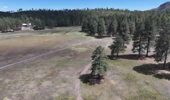 58 County Road N2122, Alpine, AZ 85920
