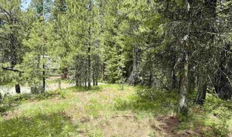 53 Landale Ln, Cascade, ID 83711