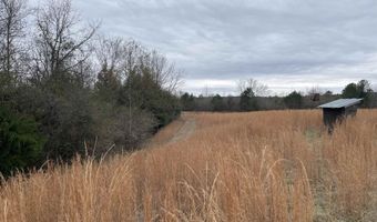 34655 Co Rd 49, Beaverton, AL 35544