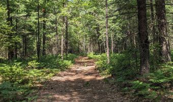 x Franklin Road, Alger, MI 48610