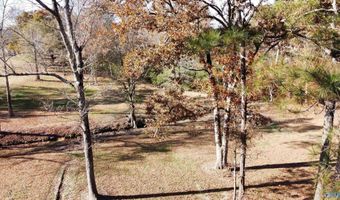 513 Rabbittown Rd, Albertville, AL 35950