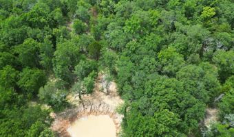 13489 S Center Point Rd, Atoka, OK 74525