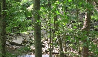 43 Sanctuary Ln, Alderson, WV 24910