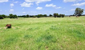 TBD 11 acres Fm 1183, Alba, TX 75119