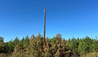 20 Ac State Hwy 95 Columbia Rd, Abbeville, AL 36310