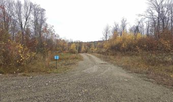 Hallowed View Drive, Berlin, NH 03570