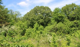 1800 Highway 4 E, Ashland, MS 38603