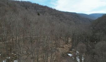0 TBD Elleber Sods Rd, Bartow, WV 24920