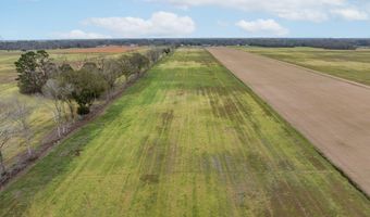 Oscar Rivette Road lot Multiple, Arnaudville, LA 70512