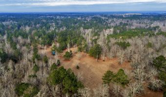 241 Foskey Cemetary Rd, Adrian, GA 31002