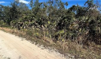 DEER CROSSING ROAD, Altoona, FL 32702