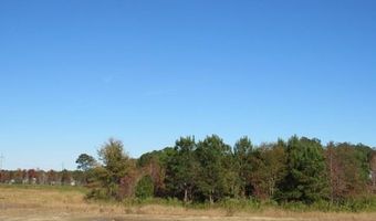 223 OLD HWY 11, Ahoskie, NC 27910