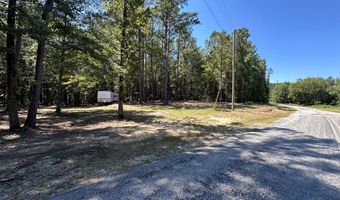 218 Pebble Cove Rd, Abbeville, AL 36310