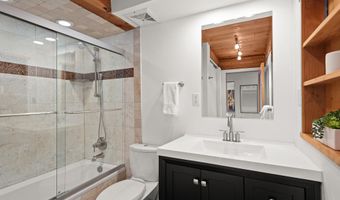 1024 E Cooper Avenue 3A, Aspen, CO 81611