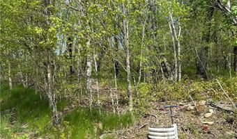 44 Fox Paw Ln, Banner Elk, NC 28604