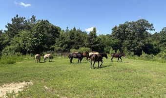 Beauty Hill Rd lot 1, Bethel Springs, TN 38315