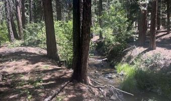 308 County Rd. 198A, Adin, CA 96006