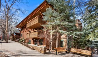747 S Galena St 230 & 330, Aspen, CO 81611