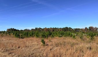 TBD US HWY 431, Abbeville, AL 36310