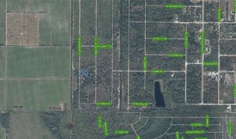2059 S Jurgenson Rd, Avon Park, FL 33825