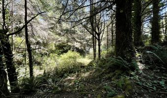 95629 CAPE FERRELO Rd, Brookings, OR 97415