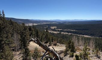 0 County Road 787, Alma, CO 80420