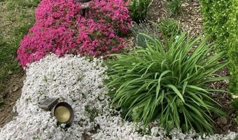 1705 Tyler Ave, Aurora, MO 65605