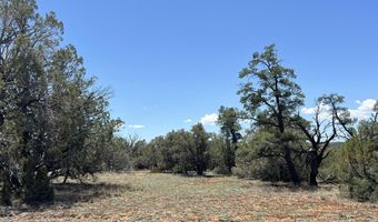 61 Norma Sw4 Rd, Ash Fork, AZ 86320