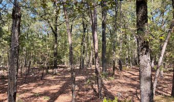 Tract 51 Highway 2, Antlers, OK 74523