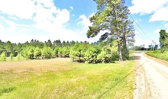 13 89 Ac Lumby Smith & Hwy 37, Adel, GA 31620