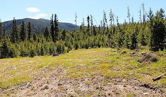 261 Kanduch Rd, Anaconda, MT 59711