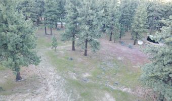 4300 Meadow Wood Rd, Carson City, NV 89703