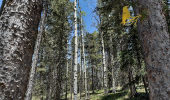 Lot 1267 STARLIGHT OVERLOOK, Angel Fire, NM 87710