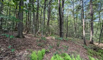 Deer Run lot 35, Becket, MA 01223