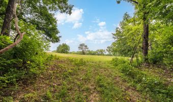 Rt 3 Box 240-4, Ava, MO 65608