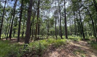 Fox Paw Court, Branchville, SC 29432