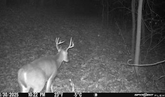 Co Rd K 546, Ava, MO 65608
