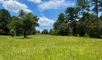 26489 Point A Isle Rd, Andalusia, AL 36421