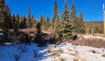 3553 RIVER Dr, Alma, CO 80420