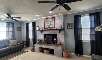 1109 W. 4TH ST Ext, Alma, GA 31510