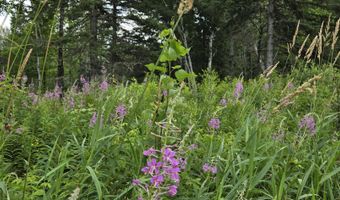 858 Allagash Rd, Allagash, ME 04774