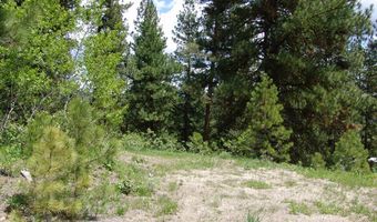 28 Rehn Loop Lot 2, Cascade, ID 83611