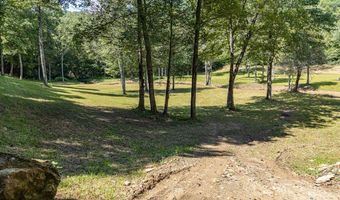 Chestnut Flats Road, Andrews, NC 28901