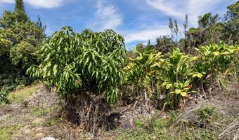 81-1045 KEOPUKA MAUKA Rd, Captain Cook, HI 96750