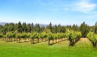 8580 SE HILLVIEW Dr, Amity, OR 97101