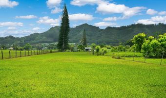 636 PUUOPAE Rd, Kapaa, HI 96746